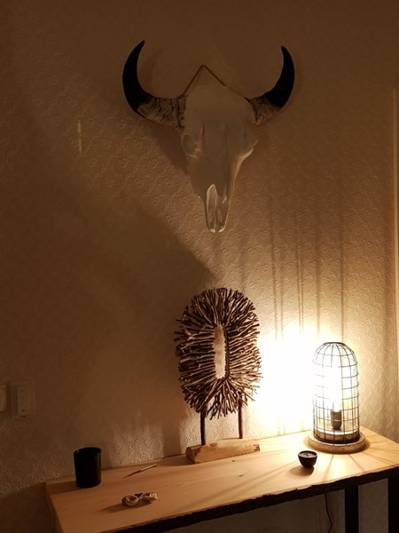 Buffel Skull met zwarte hoorns. Buffel Skull met zwarte hoorns.