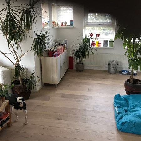 Fam. van de Draad uit Veendam.
Lamelparket 14 x 190mm , wit geolied.
Nabehandeld met Osmo hardwaxolie mat 3062.