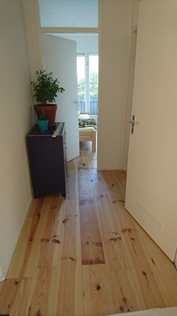 Fam. van Kreek uit Utrecht.
Grenen vloer 195mm A breed.
2x behandeld met osmo hardwaxolie 3062 mat / transparant.