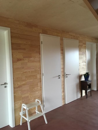 Grenen wandbeschot 12x120mm