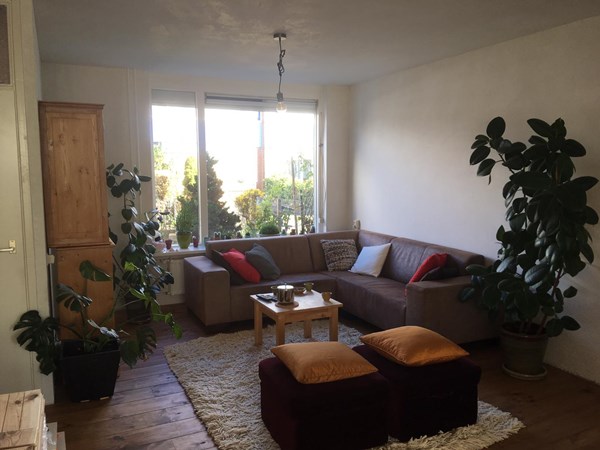 Fam. van den Hoogenhof uit Elst
Grenen vloerdelen 195mm A.
Behandeld met Osmo 3166 Noten.
Afgewerkt met Osmo 3062 mat / transparant.