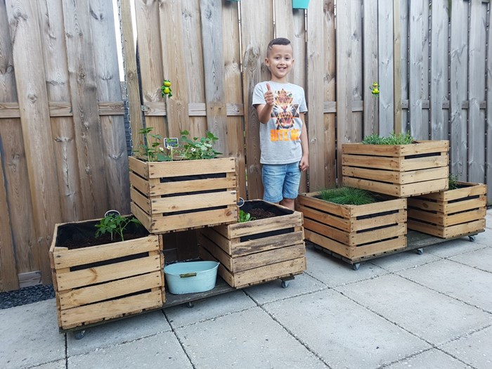 Moestuintjes gemaakt van de kisten 30x40x50.
