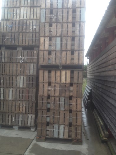 Gedeelte van onze voorraad.