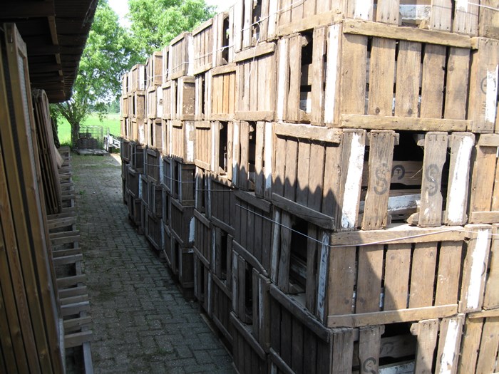 Hollandse 2-lats perenkisten.
26x36x56cm.