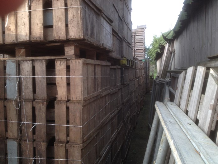 Gedeelte van onze voorraad fruitkisten.