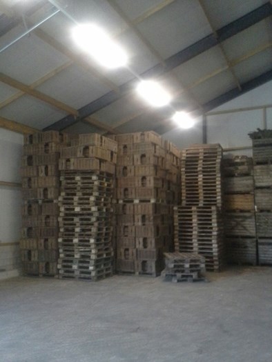 Voorraad 2-lats Venlose kisten.