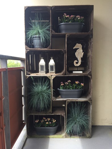 Kast gemaakt van de 3 lats kisten 30x36x56cm.
Betreft de Hollandse appelkisten.