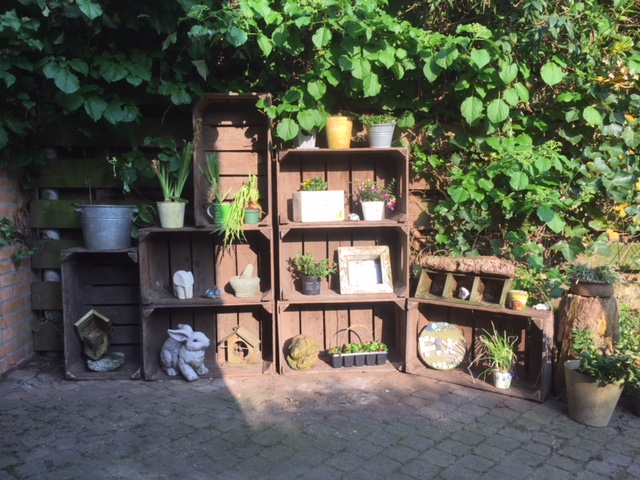 2-lats kisten 26x36x56 uit Tiel.
Etos in Opheusden. 2-lats kisten 26x36x56 uit Tiel.
Etos in Opheusden.