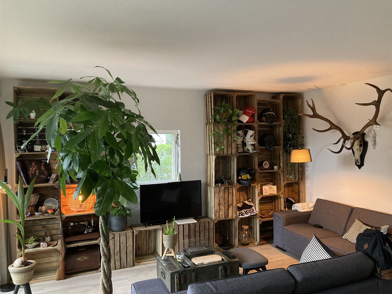 Kast gemaakt van de kisten 30 x 40 x 50.