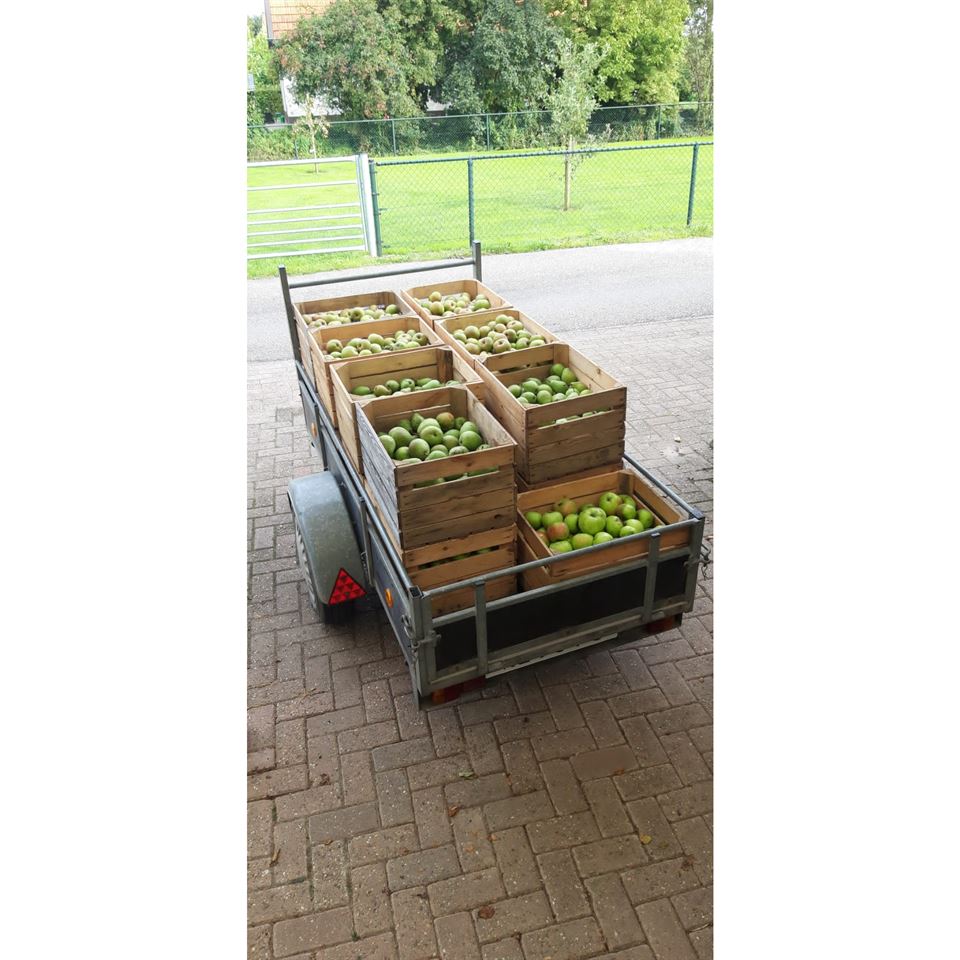 Fruitkisten 30-40-50 gebruikt voor het doeleinde waar ze voor zijn gemaakt.