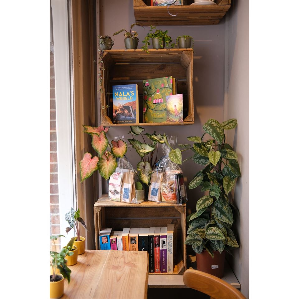 Kisten 30x40x50 in De Onbekende Boekhandel in Wageningen.