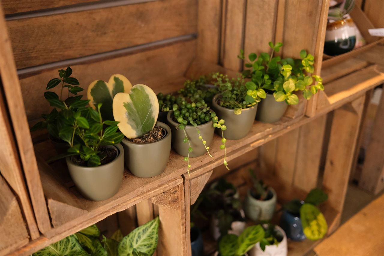 Kisten 30x40x50 in De Onbekende Boekhandel in Wageningen.