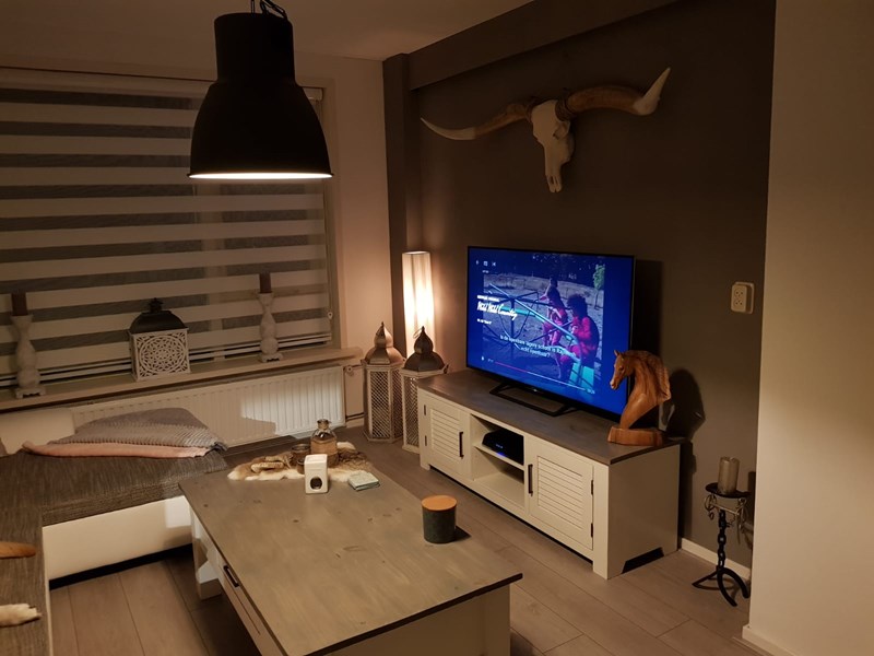 Longhorn 1m70 met witte hoorns.