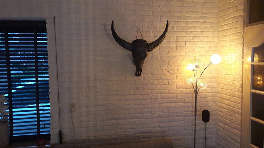 Buffelschedel zwart gegraveerd (indiaan)