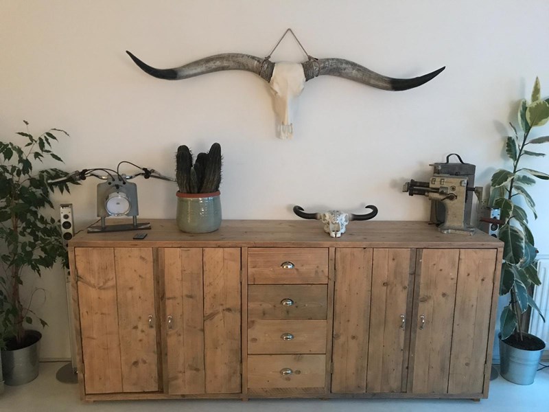 Longhorn met zwarte punt 1m70