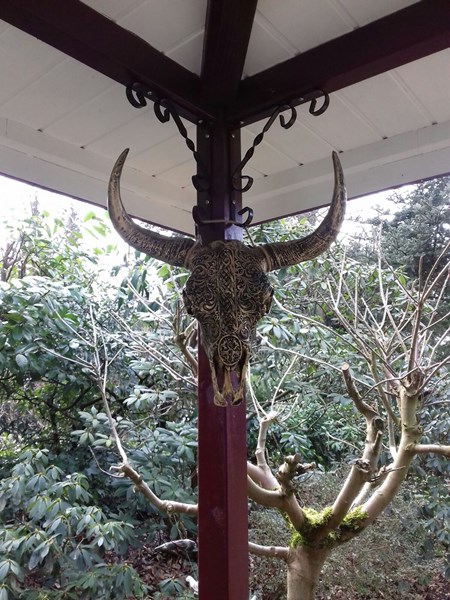 Skull gegraveerd goud.
Klein model.