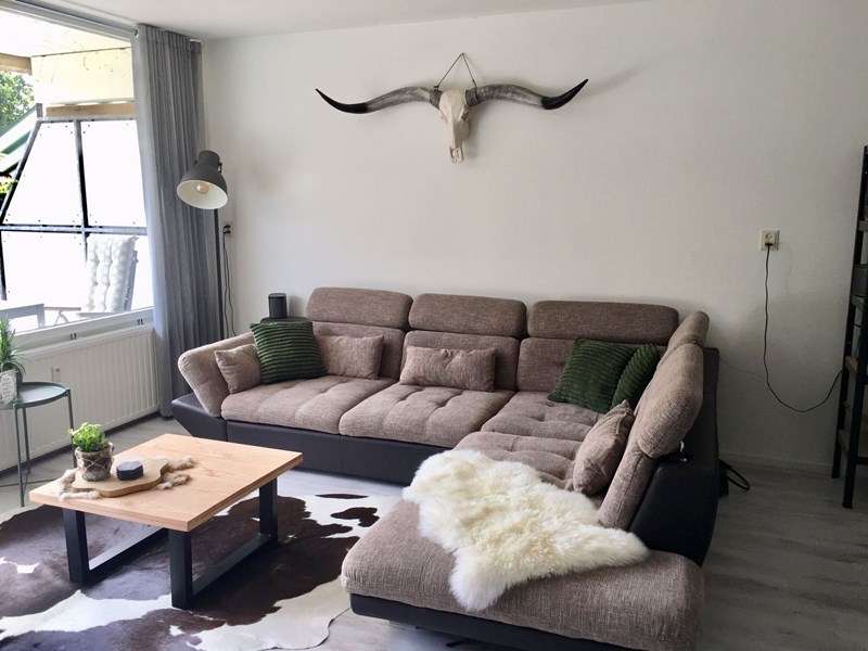 Longhorn skull 1m70 met zwarte hoorns.