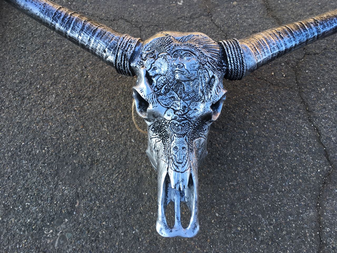 Buffel skull ziver