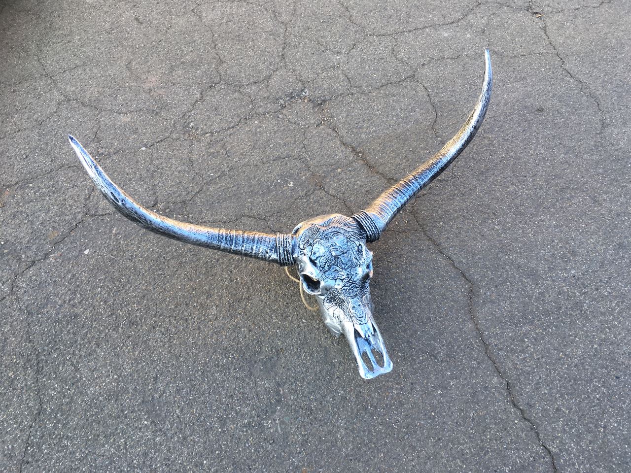 Buffel skull ziver