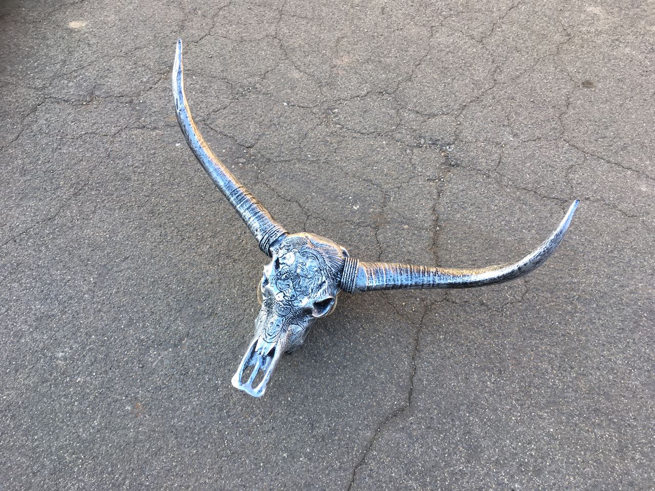 Buffel skull ziver