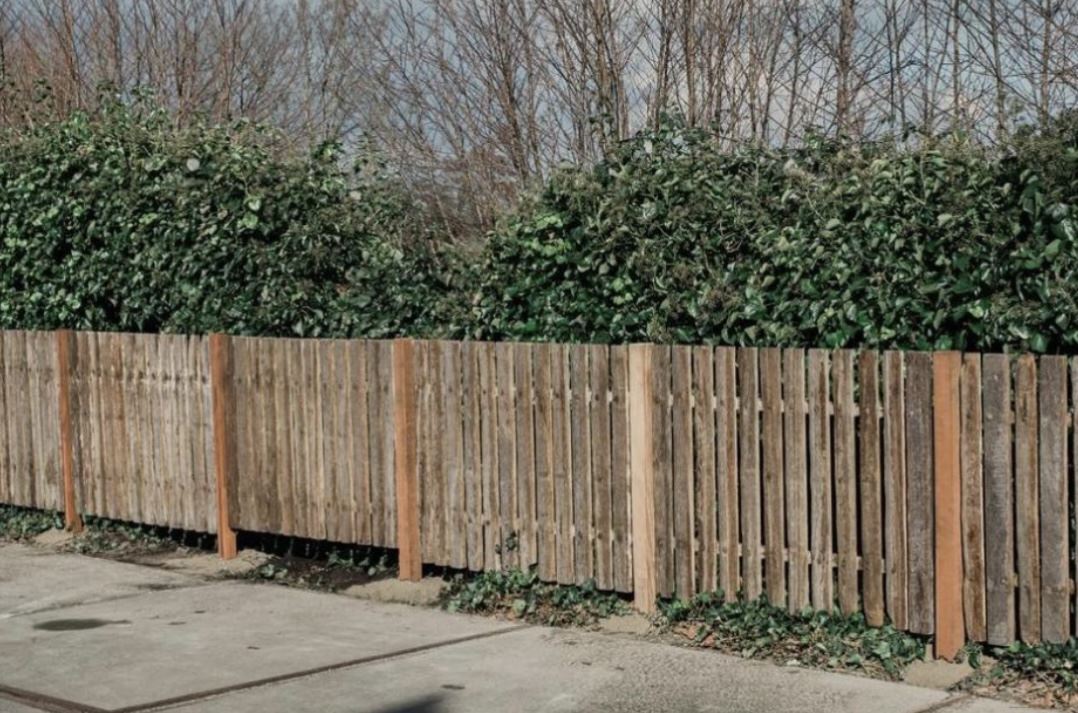 Tuinafscheiding / Hekwerk / stalroosters