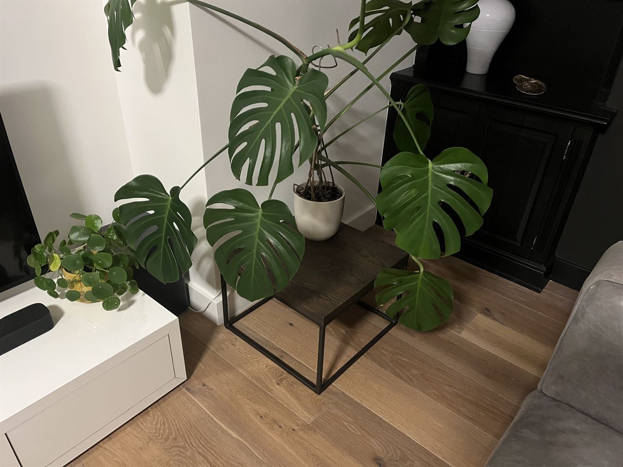 Tafeltjes van Woodsteel